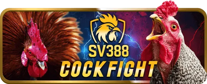 Liên hệ hỗ trợ Yes8